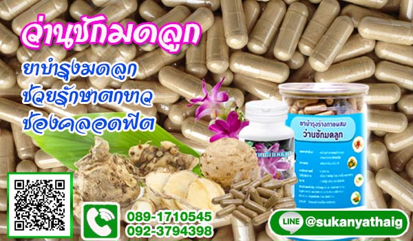 ว่านชักมดลูก