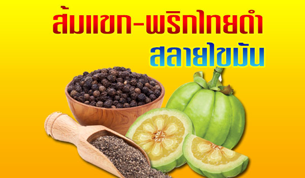 ส้มแขก-พริกไทยดำ