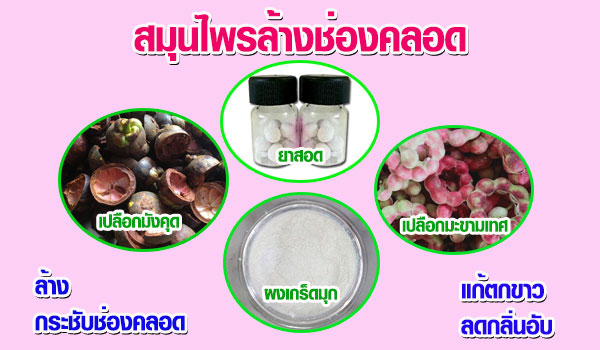 ยาเหน็บ ยาสอด
