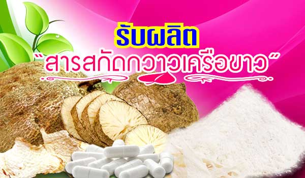 รับผลิตสารสกัดกวาวเครือขาวแคปซูล ราคาไม่แพงค่ะ